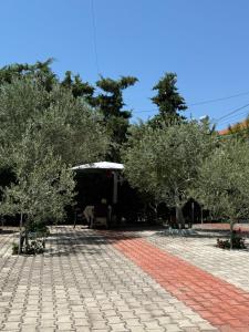 Guesthouse