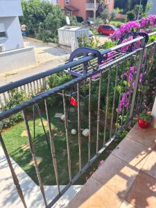 Apartman Marie