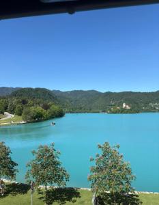 Apartma Panorama