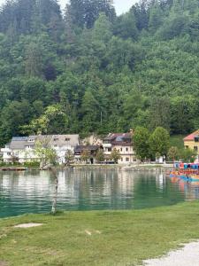 Apartma Panorama