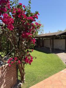 Villa Rosa