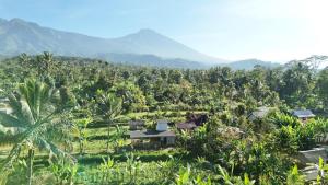 Ponjol Cottages Tetebatu