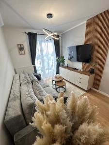 Apartament Aura