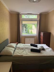 Apartament Polanki - Leśny Zakątek z ogródkiem