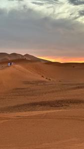 Artsisiy desert camp