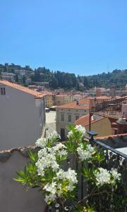 Apartma Remi
