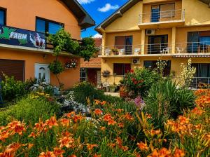 Nina Apartments