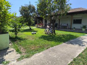Marias House