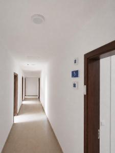 Guayaba Hostel