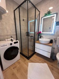 N&N apartment Radanovici