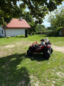 Farma Leśna