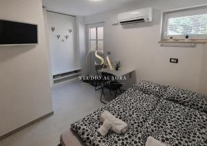 Studio Aurora