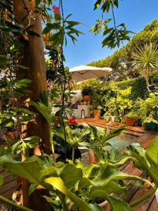 Casa Bambou An hidden gem near Saint Tropez with private pool