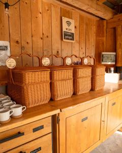 Glamping Gozdna Jasa