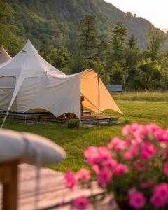 Glamping Gozdna Jasa