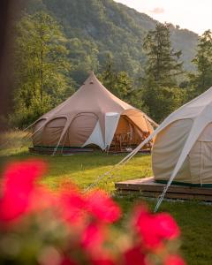 Glamping Gozdna Jasa