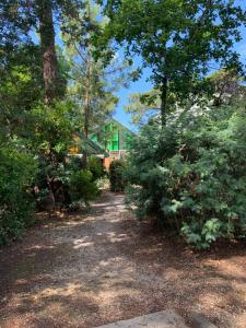 Cabane Claouey, bassin Cap ferret
