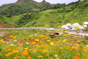 Moc Chau Island - Mountain Park and Resort