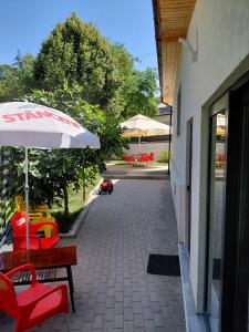 Casa David