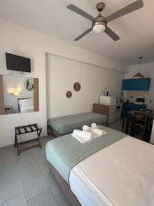 Studios Panorama Drios