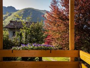 Agriturismo Deviscio