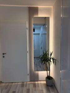 Downtown One-Bedroom Deluxe Apartment