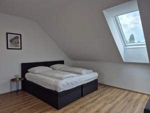 Travel & Bike Apartments an der Donau - mit WLAN & Bike Garage