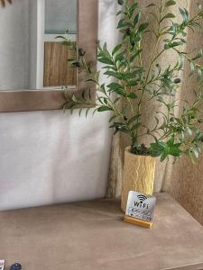 Seaview apartment