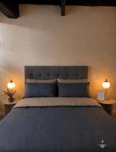 Vega Suite