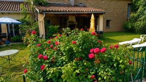 Domaine du Bourdil - Aude