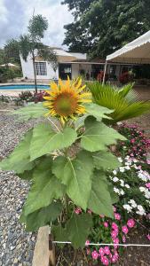Finca el origen