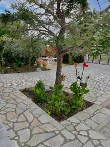 Ioannas house