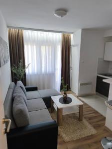 Apartman Škribulja
