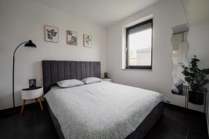 AURORA Apartment Banovci