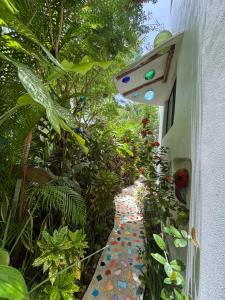 Maison Bacalar