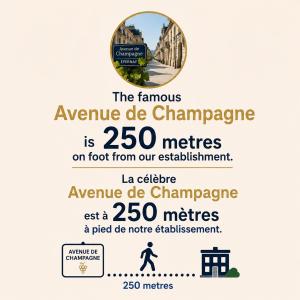 VILLA 160m2 - GARE a 200m - LES LOGES DU THEATRE avec JARDIN en plein cœur dÉpernay 14PERS Max VISITE DE CAVE guidée et DÉGUSTATION CHAMPAGNE offert BIEN-ÊTRE & JEUX & VELOS