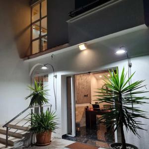 Apartments Luna