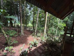 Entire Jungle Chalet Playa Ganadito