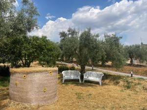 Borgo Bortolone