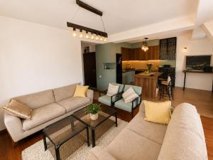 City Center Apartment with Free Parking 300Mbps Mountain View Sony Appartments #1