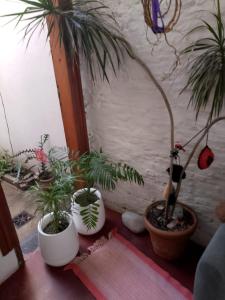 Casa María Josefina