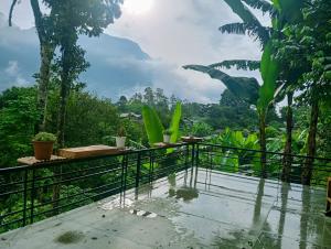 Indigo Home Stay