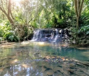 Greenforest