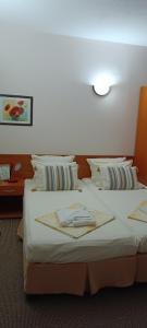 Nirvana Guest House
