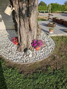 Podere Gabry Quiet Garden Rooms Pisa