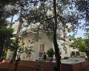 Villa Dyrrahu with Pool & Sea Access