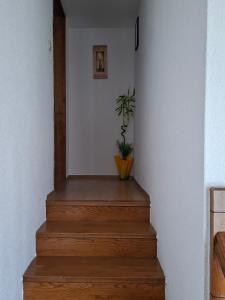 Apartman BECKER
