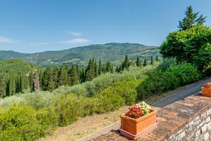Fattoria di Basciano