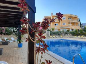 Lucie Lime GuestHouse