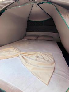 Camping Qeparo
